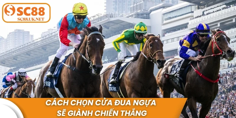 Cách chọn cửa đua ngựa sẽ giành chiến thắng