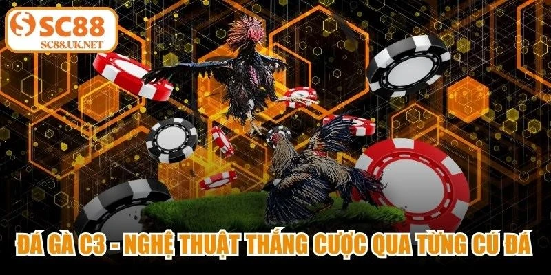 Đá Gà C3 - Nghệ Thuật Thắng Cược Qua Từng Cú Đá Thần Tốc