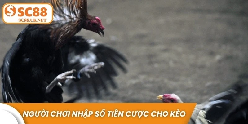 Người chơi nhập số tiền cược cho kèo đã chọn và xác nhận giao dịch