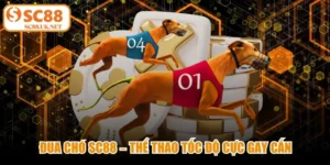 Đua Chó Sc88 – Thể Thao Tốc Độ Cực Gay Cấn