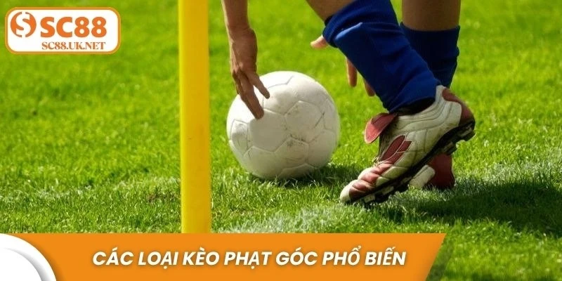  Các loại kèo phạt góc phổ biến
