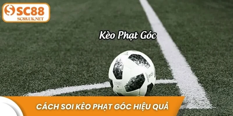 Cách soi kèo phạt góc hiệu quả