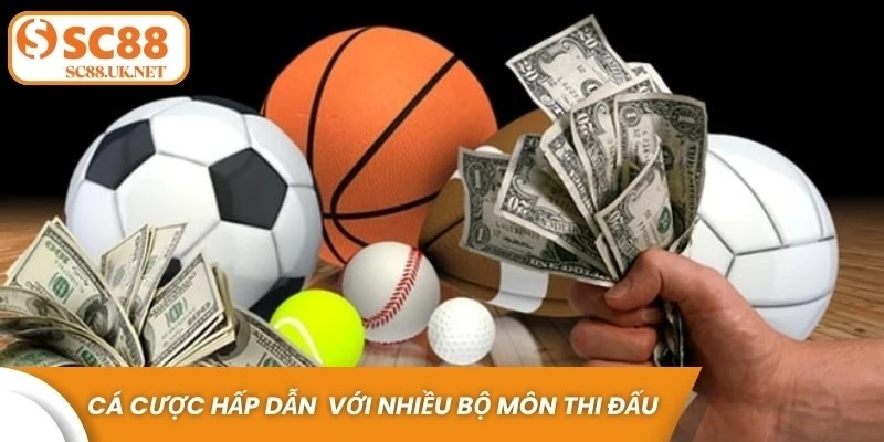 Cá cược hấp dẫn tại thể thao SC88 với nhiều bộ môn thi đấu hấp dẫn
