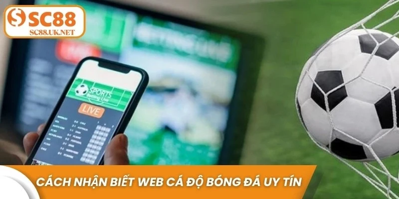 Cách nhận biết web cá độ bóng đá uy tín