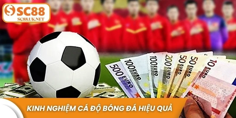 Kinh nghiệm cá độ bóng đá hay cực hiệu quả